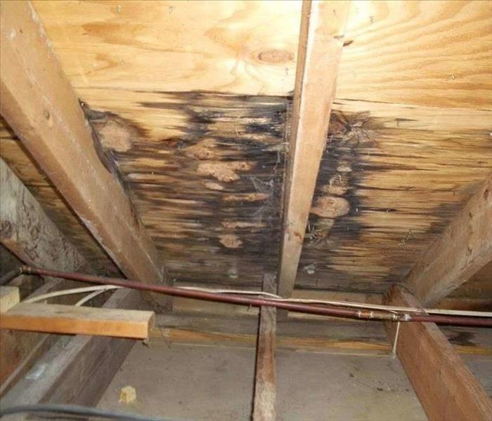 A wood ceiling in an attic showing signs of a roof leak for a long period of time. 